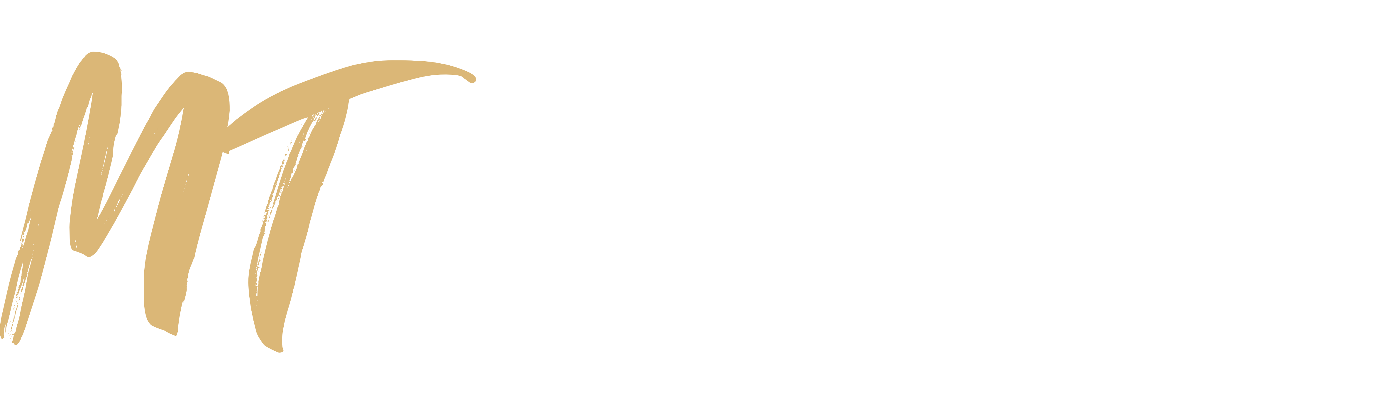 Momentum Tailor